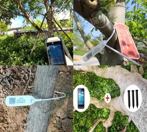 rfid苗木标签 rfid苗木标签